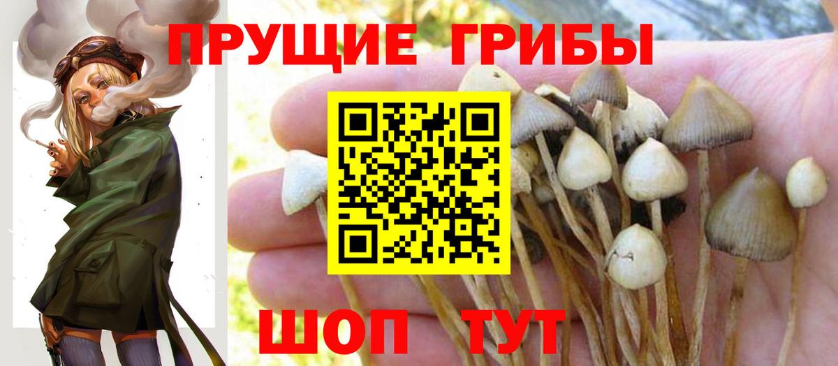 Киреевск  Псилоцибиновые грибы ЛСД  Вход с VPN 